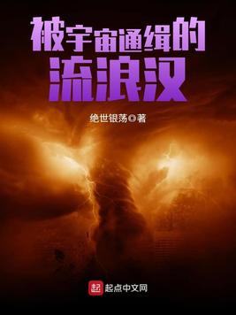 被宇宙通缉的流浪汉