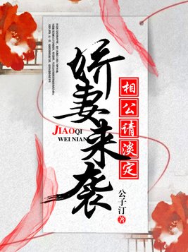 娇妻来袭，相公请淡定