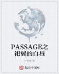 PASSAGE之祀翼的白昼