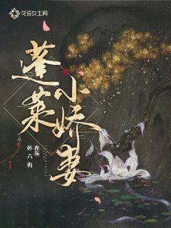 蓬莱小娇妻