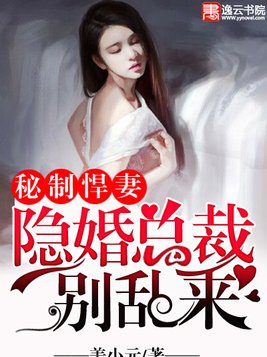 秘制悍妻：隐婚总裁别乱来