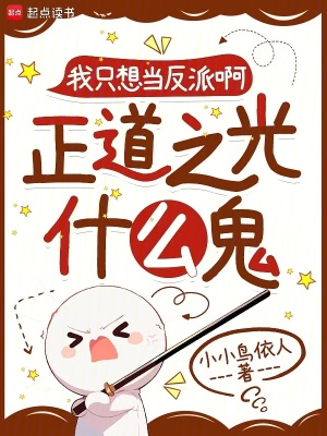 我只想当反派啊，正道之光什么