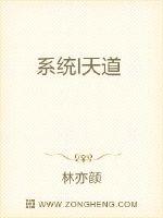 系统I天道