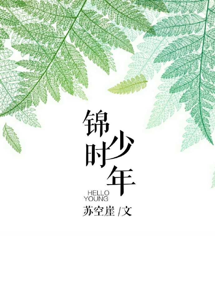 少年锦时