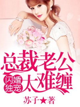 闪婚独宠：总裁老公太难缠