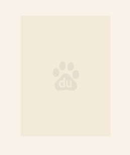 开局就用系统收妈妈做宠物