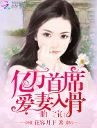 一胎二宝：亿万首席爱妻入骨