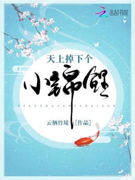 天上掉下个小锦鲤